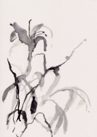 http://www.soerenhiob.com/files/gimgs/th-99_4  13.jpg
